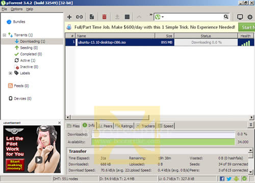 Download torrent status