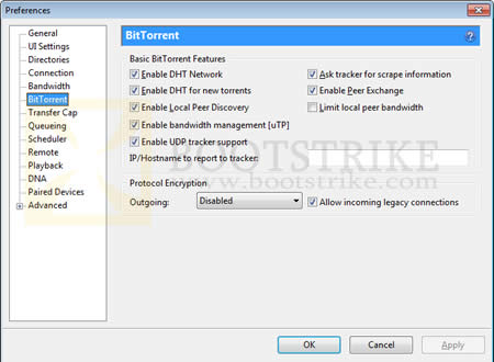 Preferences Network Options