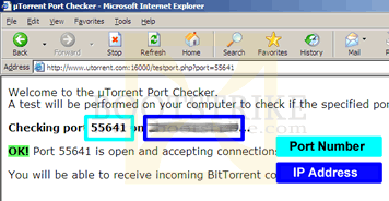 Port Checker Results and how to obtain your IP address, numbers in the dark blue box shows your IP address