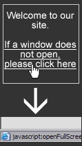 Forcing Users to Open A Full Screen Window