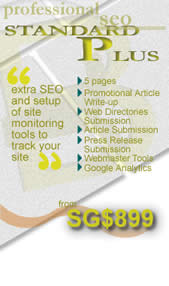Standard Plus SEO package for 5 pages, promotional article copy-writing, submission to web directories, google analytics setup
