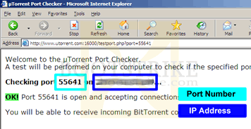 Port Checker Results and how to obtain your IP